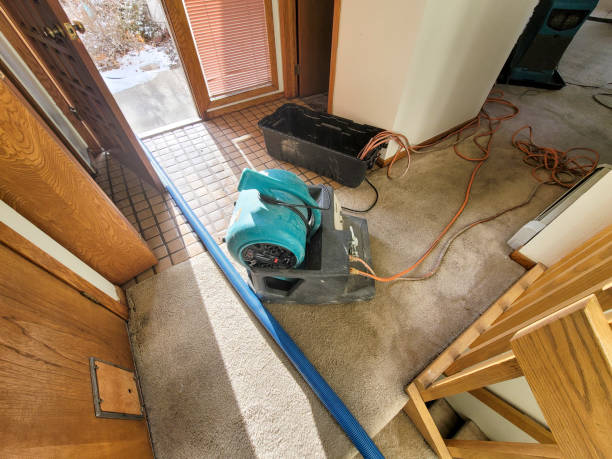 Best Flooded house restoration  in Black Diamond, WA