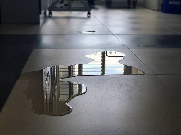 Best 24-hour water damage restoration  in Black Diamond, WA