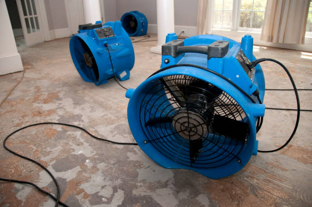 Best Water damage restoration near me  in Black Diamond, WA