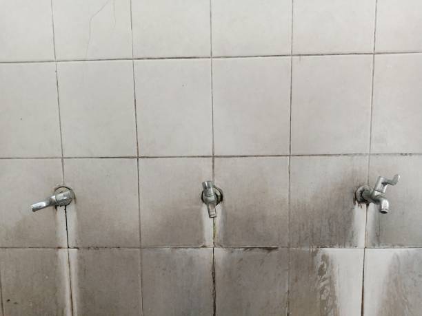 Best Ceiling water damage repair  in Black Diamond, WA