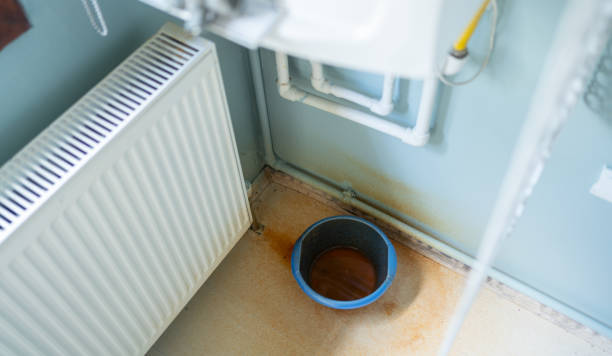 Best Water damage restoration near me  in Black Diamond, WA