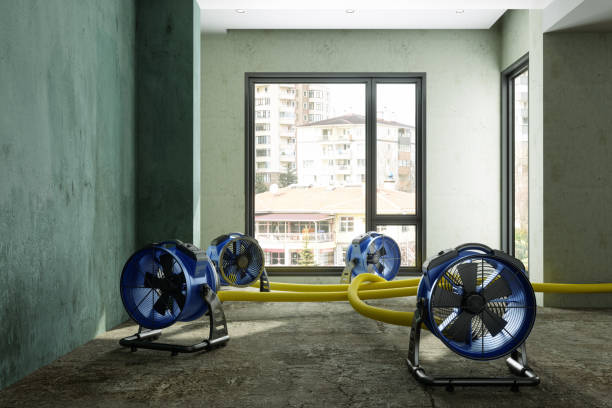 24/7 water damage repair in Black Diamond, WA